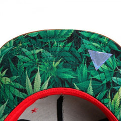 Trendy flat brimmed snapback hatscheech republic cap cartoon bear