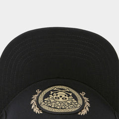 Trendy flat brimmed snapback hatsshade