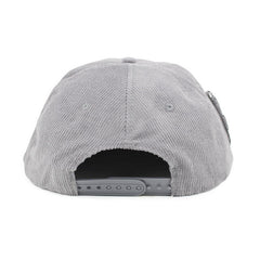 Trendy flat brimmed snapback hatscorduroyheattech autumn winter